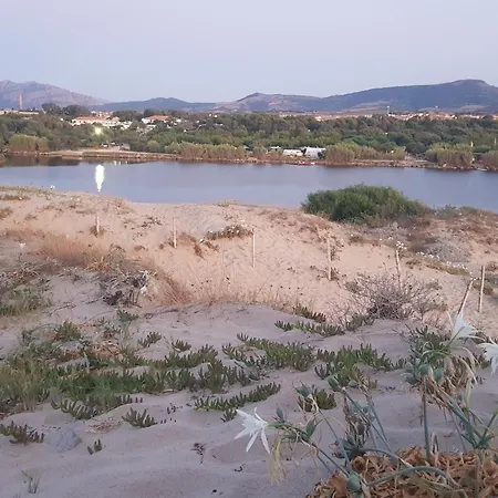 Sardinia Imagination - L'ulivo Daire *