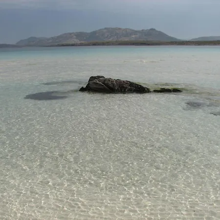 Sardinia Imagination - L'ulivo Daire *