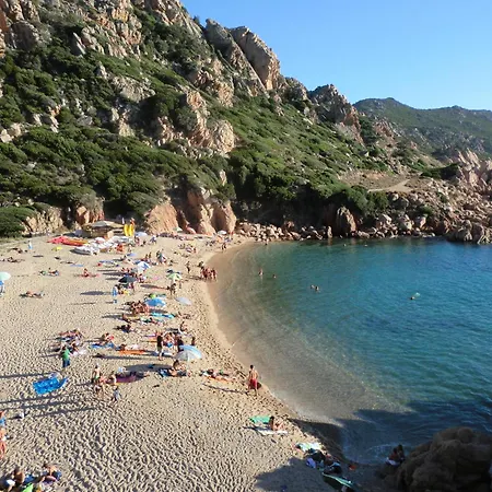 Sardinia Imagination - L'ulivo *